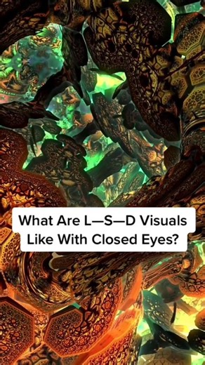 tripwhip on Instagram: "What L—S—D Visuals are like with Closed Eyes! Follow for more trippy content (Had to reupload cause of a glitch)"