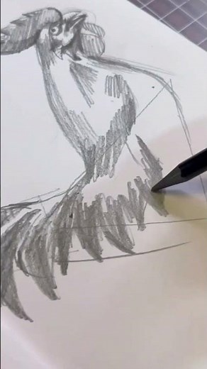 Draw With Me- Day 4- How To Draw A Rooster Easy Step By Step