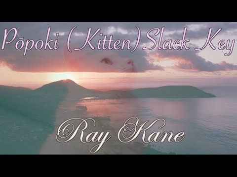 Pōpoki (Kitten) Slack Key by Ray Kane | Hawaiian Classic Mēle