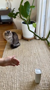 467K views · 9.8K reactions | The answer to curbing destructive...