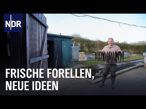 Forellenzucht: Zwischen Teich, Räucherei und Wochenmarkt | Die Nordreportage | NDR Doku