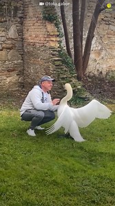 412K views · 2.3K reactions | Unconditional pure love of animals ❤️ | Sentient | Facebook