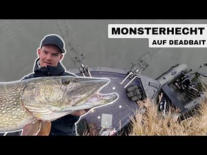 Deadbait from the boat – will we catch the giant pike?