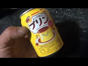 The juice in Sangaria's "Shake and Drink Pudding" is delicious. It has a gentle sweetness and smo...