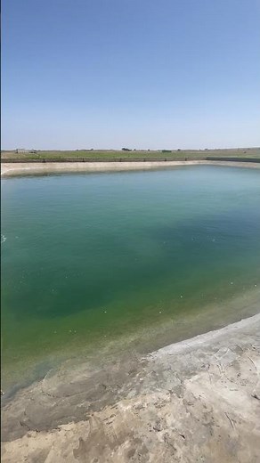 rain water harvesting irrigation system #rain #irrigation #agriculture #shorts #youtubeshorts