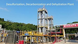 Natural Gas Acid Gas Removal Unit Gas Desulfurization Unit CO2 H2S Removal Package