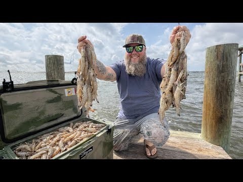 1000’s of JUMBO shrimp in my Cast Net!!!! Catch n Cook