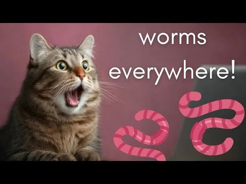 Catch the worms🪱 fun video for cats to watch