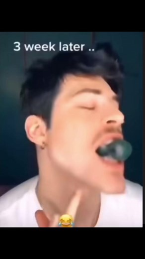 bruh #cat #funny #tiktok @TikTok @tiktok creators