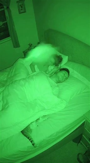 77K views · 48 reactions | Sleeping Couple Jolted Awake as Bird...
