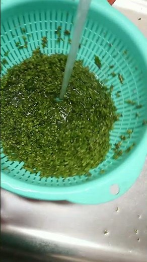 紫蘇の実の塩漬けの作り方