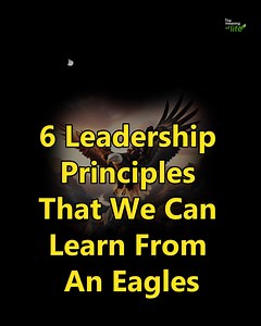 952K views · 12K reactions | Six Leadership Principles that we can learn from an Eagles | The meaning of life | Facebook