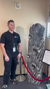 🌊🐚 How were these nautiloid fossils are all found facing the same way? 🤔 These ancient sea creatures, perfectly lined up, are just more evidence of a worldwide flood! 🌍💦 #Nautiloids #FossilFinds #FloodEvidence #EarthHistory | David Rives Ministries