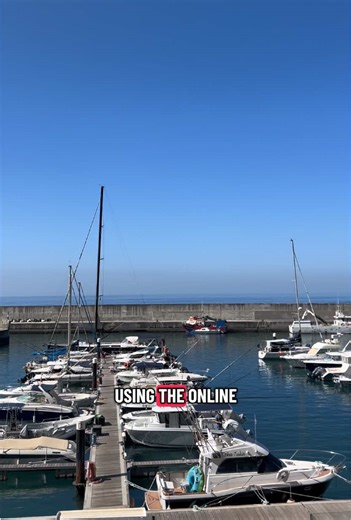 Book Affordable Flights with Alternative Airlines