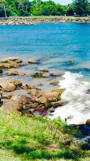 Escape to Evans Head NSW