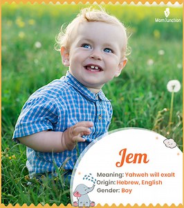 Jem Name Meaning, Origin, History, And Popularity