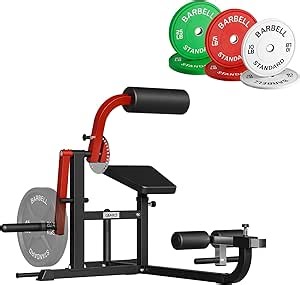 GMWD AB/Back Machine-Ab Crunch & BackExtension, Upper Body Strength Trainer (with Rubber Weight Set)