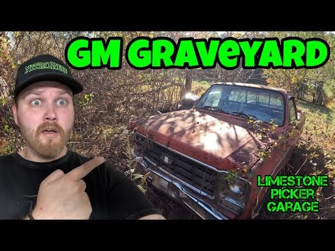 MY FRIEND HAS A JUNK YARD BEHIND HIS HOUSE!