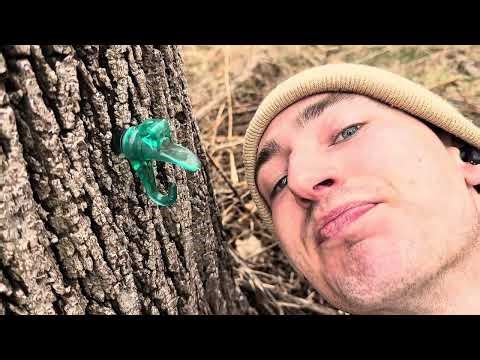 TAP THAT! A guide to tapping any tree in your yard!