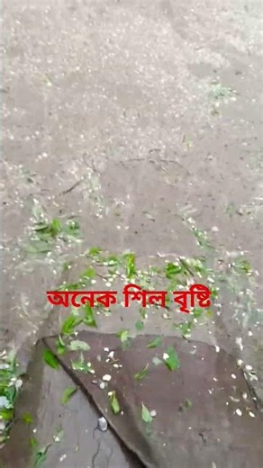অনেক শিল বৃষ্টি #foryou #funny #recipe #recipe #beauty #viralvideo #youtube #instafeed #viralfeed