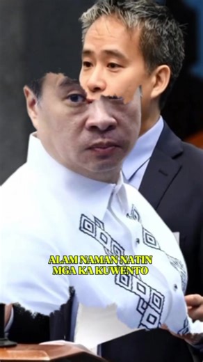 Senator Joel Villanueva's Survey Score Explained