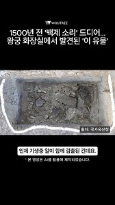 Wikitree - 위키트리 on Reels