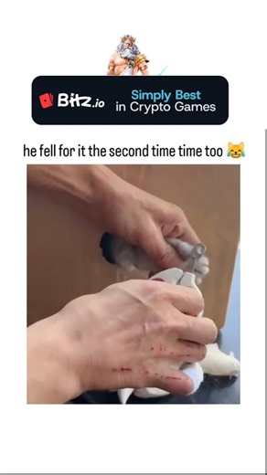 Facts~ on Instagram: "This viral video depicts a clever cat fooling its owner into trimming two fake paws made from white cloth, stuck through a box hole, instead of its real claws, showcasing impressive animal problem-solving akin to studies on feline deception in play. Posted today by @depressionlesss , a popular account for feel-good pet content, the clip has exploded to 24,000 likes and 1.8 million views, underscoring the enduring appeal of cat mischief on X amid rising demand for lightheart