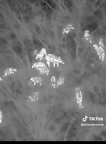 Exploring Night Vision Camera Drones for Enhanced Aerial Imaging