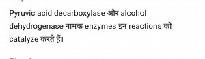Pyruvic acid decarboxylase और alcohol dehydrogenase नामक enzyme... | Filo