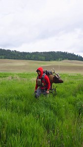 10K reactions · 44 shares | Drive 1 hour. Hike in mini. Saddle Up. Let ‘er rip. Separation is in the preparation. #elkshape @latitudeoutdoors @rinehart_targets | ElkShape | Facebook
