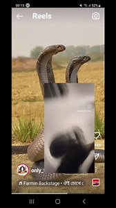 4K views · 31 reactions | What do snakes mean in the spiritual world? Historically, serpents and snakes represent fertility or a creative life force. As snakes shed their skin through sloughing, they are symbols of rebirth, transformation, immortality, and healing. The ouroboros is a symbol of eternity and continual renewal of life. | Esabod Freedom Fighter | Facebook