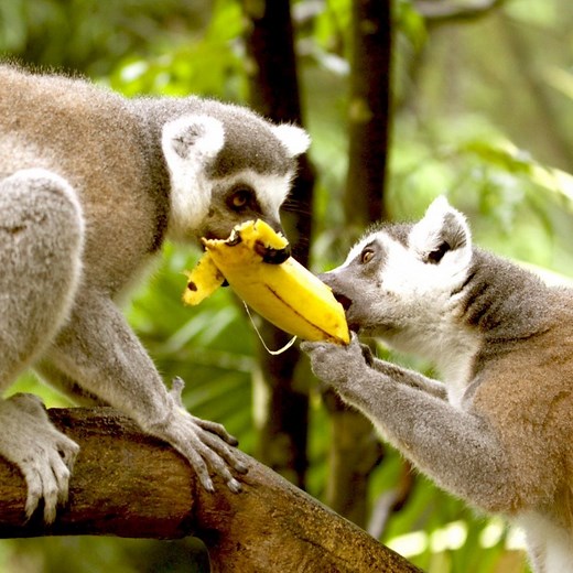 Win-Win Negotiation - Mindtools