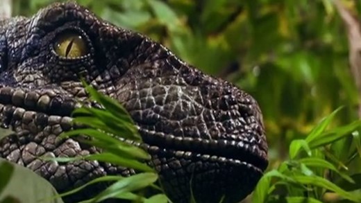 90 million years ago, Antarctica was a lush rainforest before it froze over