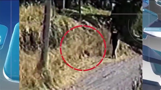 185K views · 2.4K reactions | ¿Qué pasó por su cabeza? Se busca a este pirómano, fue captado por cámaras de vigilancia en la colonia Cabrera, Tianguis-Manalco, #Puebla, justo cuando provocaba un incendio que dejó un daño de casi 4 hectáreas. Las autoridades advierten que quienes provoquen incendios podrían pasar hasta seis años en cárcel. La información en #HechosMeridiano con Alejandro Villalvazo | Azteca Noticias | Facebook