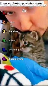 Top 6 Cats That Act Just Like Humans 😹 #funnyanimals