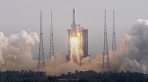 Chinese scientists plan monkey mating in space