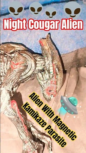 👉🏼 👽 Night Cougar Alien | Action Figure | NECA Toys | Alien With Magnetic Kamikaze Parasite
