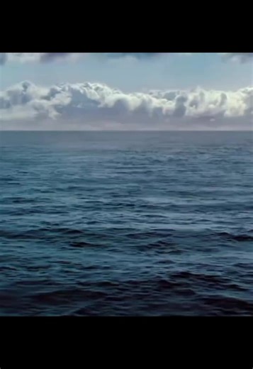 #movie #foryou #usa | movie