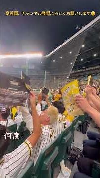 【栄光の架け橋】阪神ファンによる栄光の架け橋の大合唱‼︎ （フルバージョン）#栄光の架け橋 #阪神タイガース #大合唱