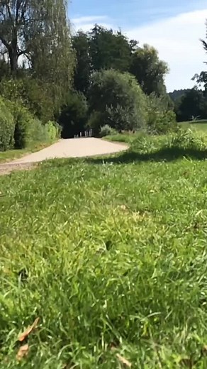 IBF MEETINGS (@ibf.treffen_)’s videos with original sound - dcpwithliv