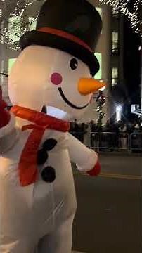 The Magnificent Mile Lights Festival 2025 | Chicago’s Most Beautiful Holiday Parade 🎄