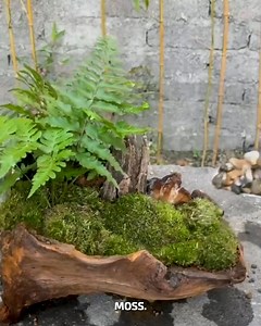 Creating a Mini Forest in Wood #WoodDecor #DIYNatureArt #MiniForest | Fatafatnews