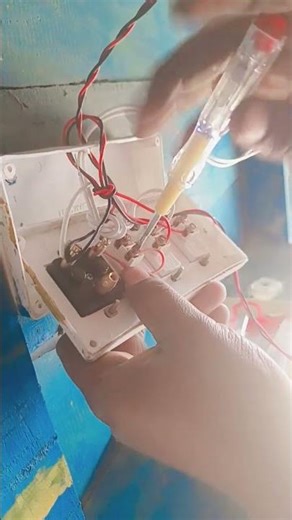 tree switch bord setup