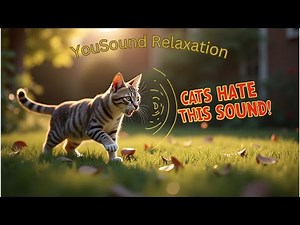 How Ultrasonic Sounds Repel Cats – Explained with Live Demo | Why Cats Hate This Sound