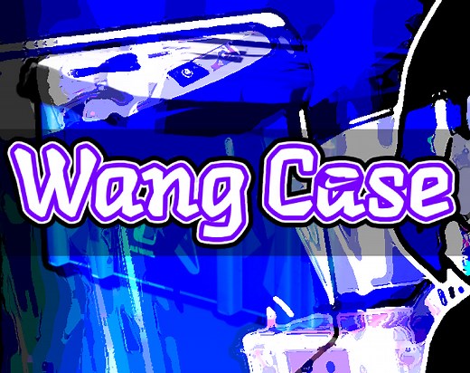 Wang Case by FreddysDark-ON, Power2015
