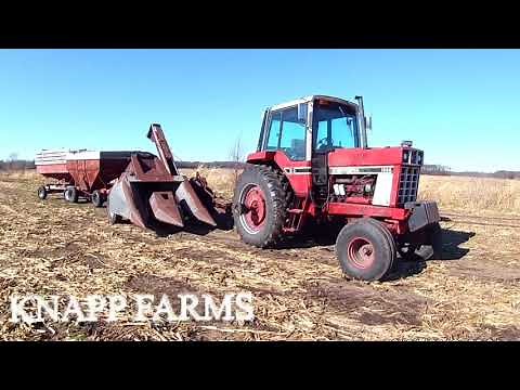 Picking corn with the IH 1086 & the model 327 New Idea ear corn picker for grinding into cattle feed