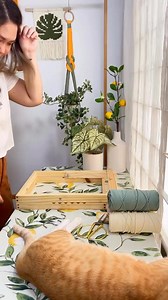 126K views · 2.7K reactions | 臨✨ ¡Nuevo Ebook de Macramé para...