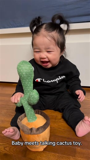 So Cute | MG MUSIC GROUP NC