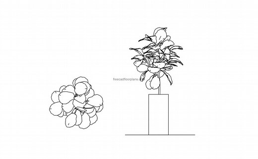 Fiddle Leaf Fig Tree - Free CAD Drawings