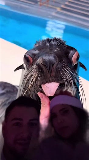 Kai Van Kirk on Instagram: "gawk gawk 3000"